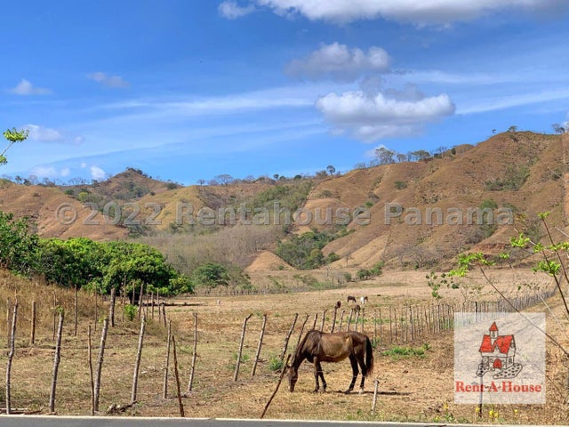 Commercial Property for Sale in Pedasi Los Santos 06065